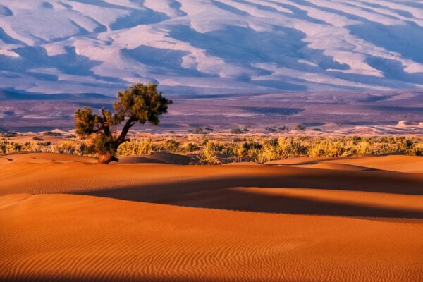 5 Days 4 Nights Morocco Holiday Package