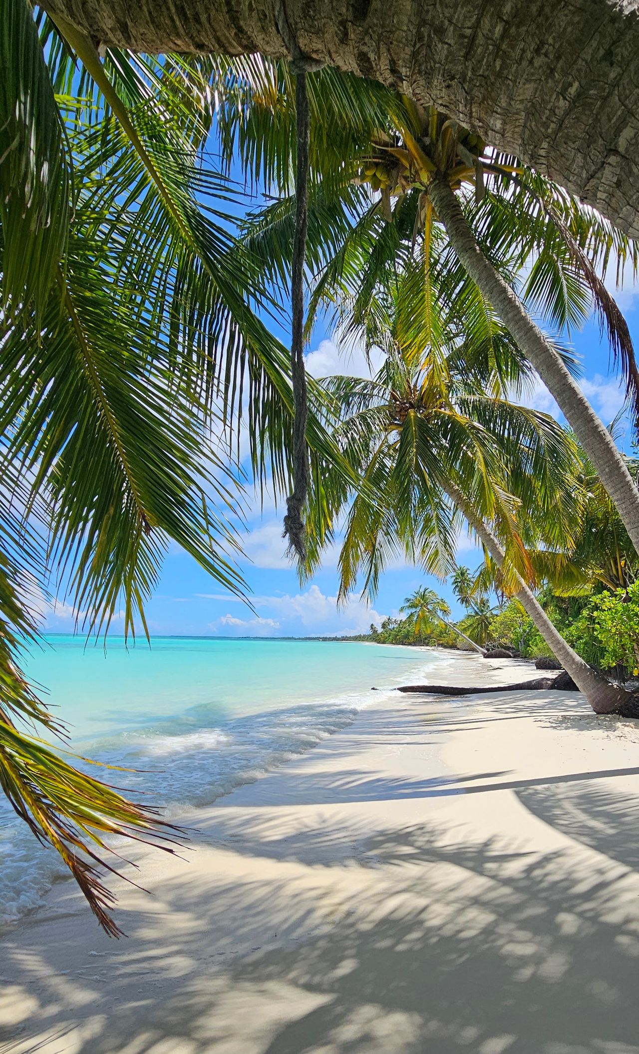 Beach Escapes